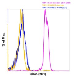 CD45 Monoclonal Antibody (2D1), FITC, eBioscience , Invitrogen:Antibodies:Primary