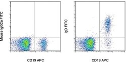 IgD Monoclonal Antibody (IA6-2), FITC, eBioscience , Invitrogen:Antibodies:Primary
