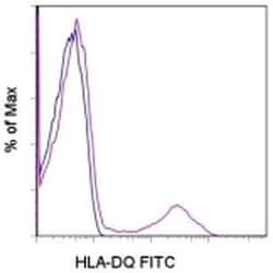 Invitrogen HLA-DQ Monoclonal Antibody (SK10), FITC, eBioscience:Antibodies:Primary