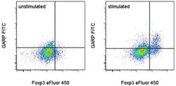 Invitrogen GARP Monoclonal Antibody (G14D9), FITC, eBioscience:Antibodies:Primary