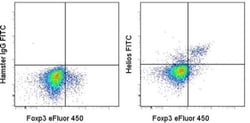 Invitrogen HELIOS Monoclonal Antibody (22F6), FITC, eBioscience , Invitrogen