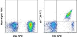 TCR alpha/beta Monoclonal Antibody (WT31), FITC, eBioscience , Invitrogen:Antibodies:Primary