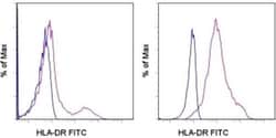 Invitrogen HLA-DR Monoclonal Antibody (LN3), FITC, eBioscience , Invitrogen
