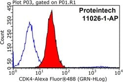 CDK4 Rabbit anti-Human, Mouse, Rat, Polyclonal, Proteintech:Anticuerpos:Anticuerpos