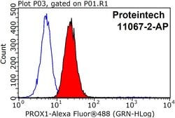PROX1 Rabbit anti-Human, Mouse, Rat, Polyclonal, Proteintech 150 &mu;L;