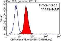 CBP/EIF4E Rabbit anti-Human, Mouse, Rat, Polyclonal, Proteintech:Antibodies:Primary