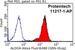 ALDOA Rabbit anti-Human, Mouse, Rat, Polyclonal, Proteintech 150 &mu;L;