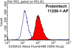 S100A10 Rabbit anti-Human, Mouse, Rat, Polyclonal, Proteintech 150 &mu;L;