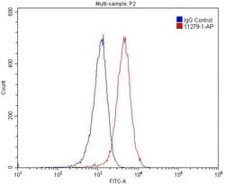 PRMT1 Rabbit anti-Human, Mouse, Rat, Polyclonal, Proteintech 150 &mu;L;