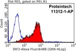 Thumbnail_IRF3 Rabbit anti-Human, Mouse, Rat, Polyclonal, Proteintech 150 &mu;L;