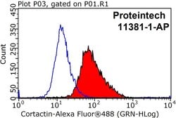 Cortactin Rabbit anti-Human, Mouse, Rat, Polyclonal, Proteintech:Antibodies:Primary