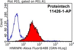 HNRNPK Rabbit anti-Human, Mouse, Rat, Polyclonal, Proteintech 20 &mu;L;