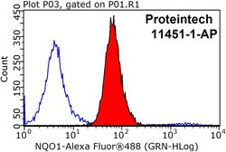 NQO1 Rabbit anti-Human, Polyclonal, Proteintech 150 &mu;L; Unconjugated:Antibodies,