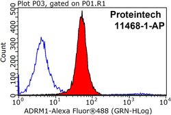 ADRM1 Rabbit anti-Human, Mouse, Rat, Polyclonal, Proteintech:Antibodies:Primary