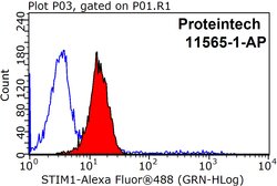STIM1 Rabbit anti-Human, Mouse, Polyclonal, Proteintech 150 &mu;L; Unconjugated:Anticuerpos