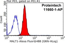 MALT1 Rabbit anti-Human, Mouse, Rat, Polyclonal, Proteintech 150 &mu;L;