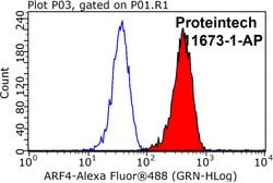 ARF4 Rabbit anti-Human, Mouse, Rat, Polyclonal, Proteintech:Antibodies:Primary