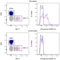 IFN gamma Monoclonal Antibody (XMG1.2), FITC, eBioscience , Invitrogen:Antibodies:Primary