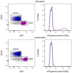 IFN gamma Monoclonal Antibody (4S.B3), FITC, eBioscience , Invitrogen:Antibodies:Primary