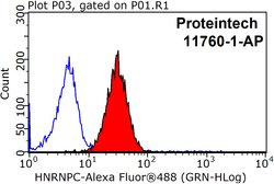 HNRNPC Rabbit anti-Human, Mouse, Rat, Polyclonal, Proteintech 150 &mu;L;