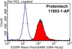 S100P Rabbit anti-Human, Polyclonal, Proteintech 150 &mu;L; Unconjugated:Antibodies,