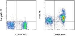 Invitrogen CD1d Monoclonal Antibody (1B1), PE, eBioscience , Invitrogen