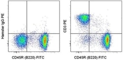 CD3e Monoclonal Antibody (145-2C11), PE, eBioscience&trade;, Invitrogen&trade;