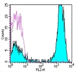 Invitrogen CD3 Monoclonal Antibody (OKT3), PE, eBioscience , Invitrogen