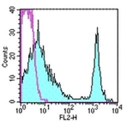Invitrogen CD4 Monoclonal Antibody (RM4-5), PE, eBioscience , Invitrogen