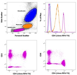 CD4 Monoclonal Antibody (RPA-T4), PE, eBioscience , Invitrogen:Antibodies:Primary