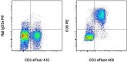 CD5 Monoclonal Antibody (53-7.3), PE, eBioscience , Invitrogen:Antibodies:Primary