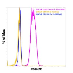 Invitrogen CD10 Monoclonal Antibody (eBioCB-CALLA (CB-CALLA)), PE, eBioscience
