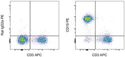 CD19 Monoclonal Antibody (eBio1D3 (1D3)), PE, eBioscience , Invitrogen