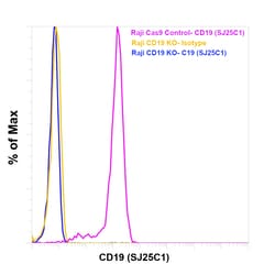 Invitrogen CD19 Monoclonal Antibody (SJ25C1), PE, eBioscience 100 Tests;