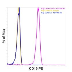 CD19 Monoclonal Antibody (HIB19), PE, eBioscience , Invitrogen 25 Tests;