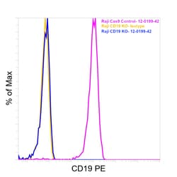 CD19 Monoclonal Antibody (HIB19), PE, eBioscience , Invitrogen 25 Tests;