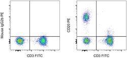 CD20 Monoclonal Antibody (2H7), PE, eBioscience , Invitrogen:Antibodies:Primary