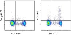 CD25 Monoclonal Antibody (PC61.5), PE, eBioscience , Invitrogen:Antibodies:Primary