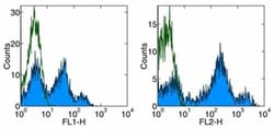 Invitrogen CD26 Monoclonal Antibody (2A6), PE, eBioscience:Antibodies:Primary