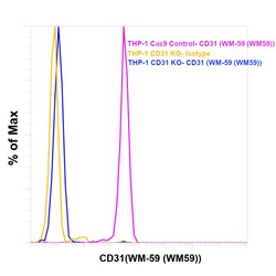 Invitrogen CD31 (PECAM-1) Monoclonal Antibody (WM-59 (WM59)), PE, eBioscience
