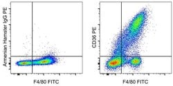 Invitrogen CD36 Monoclonal Antibody (HM36), PE, eBioscience 100 &mu;g;