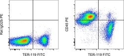 Invitrogen CD45 Monoclonal Antibody (30-F11), PE, eBioscience , Invitrogen