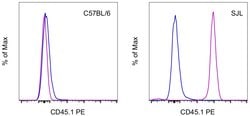 CD45.1 Monoclonal Antibody (A20), PE, eBioscience , Invitrogen:Antibodies:Primary