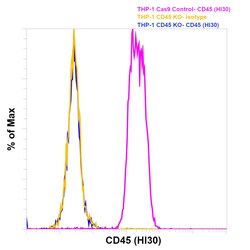 CD45 Monoclonal Antibody (HI30), PE, eBioscience , Invitrogen:Antibodies:Primary