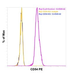 CD54 (ICAM-1) Monoclonal Antibody (HA58), PE, eBioscience , Invitrogen:Antibodies:Primary