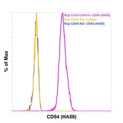 CD54 (ICAM-1) Monoclonal Antibody (HA58), PE, eBioscience , Invitrogen:Antibodies:Primary
