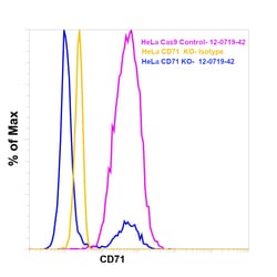 CD71 (Transferrin Receptor) Monoclonal Antibody (OKT9 (OKT-9)), PE, eBioscience