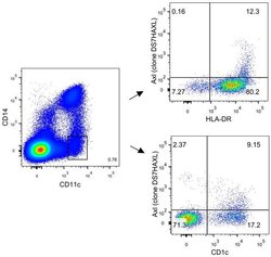Axl Monoclonal Antibody (DS7HAXL), APC, eBioscience , Invitrogen:Antibodies:Primary