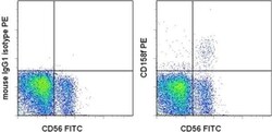 CD158f Monoclonal Antibody (UP-R1), PE, eBioscience , Invitrogen:Antibodies:Primary