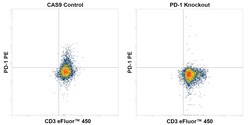 CD279 (PD-1) Monoclonal Antibody (eBioJ105 (J105)), PE, eBioscience , Invitrogen:Antibodies:Primary
